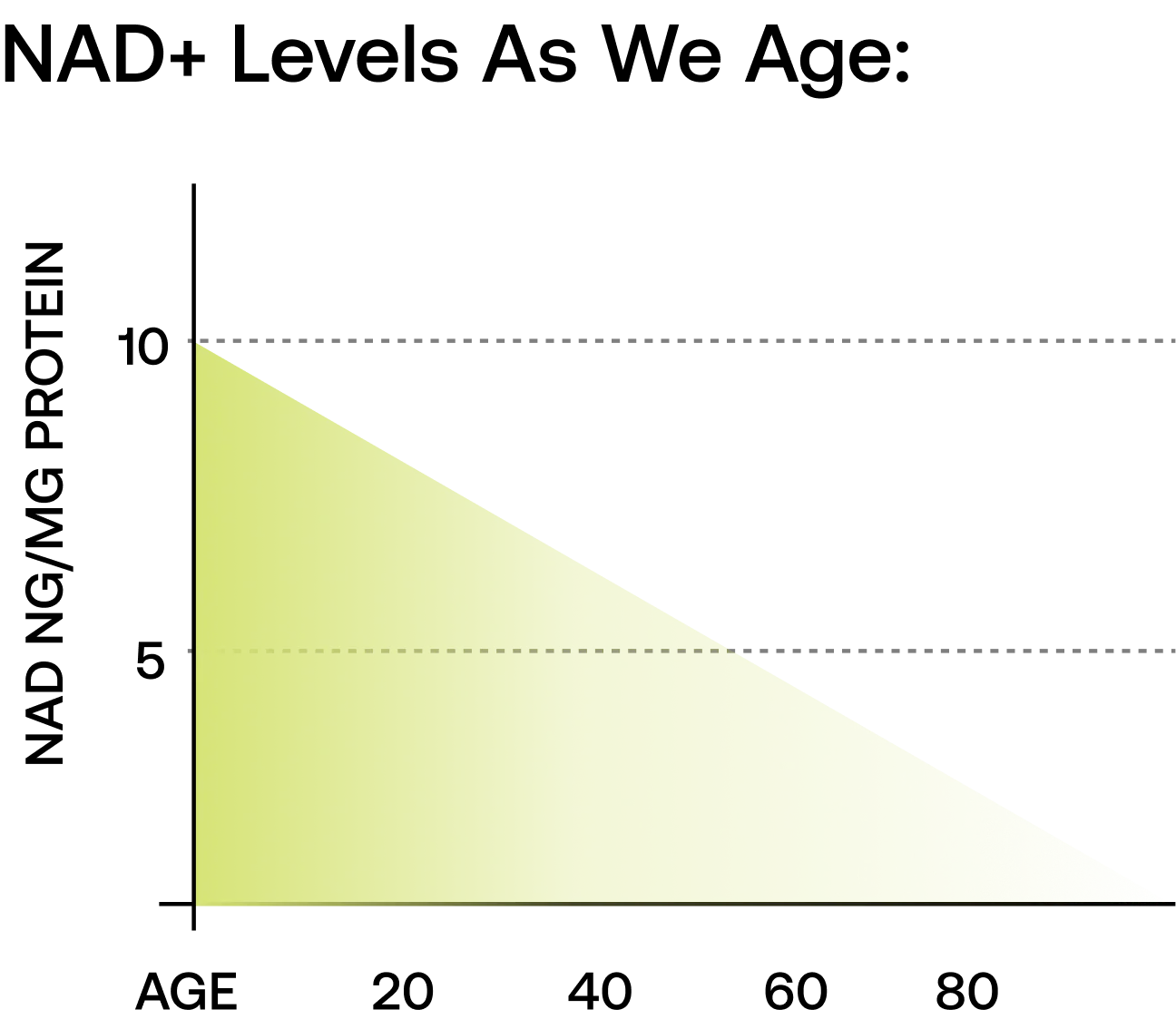 NAD+ Nicotinamide Riboside