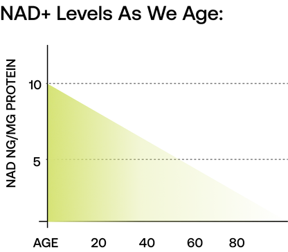 NAD+ Nicotinamide Riboside